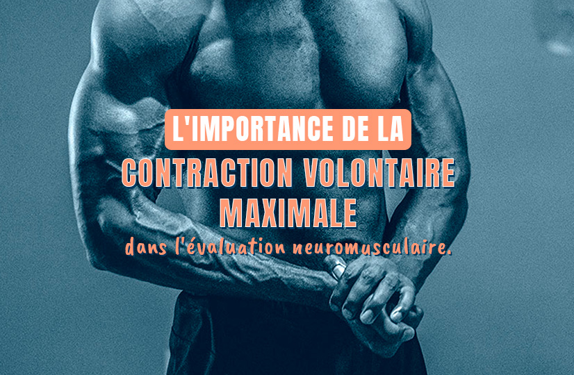 Contraction Volontaire Maximale