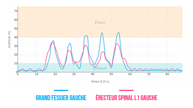 grand fessier