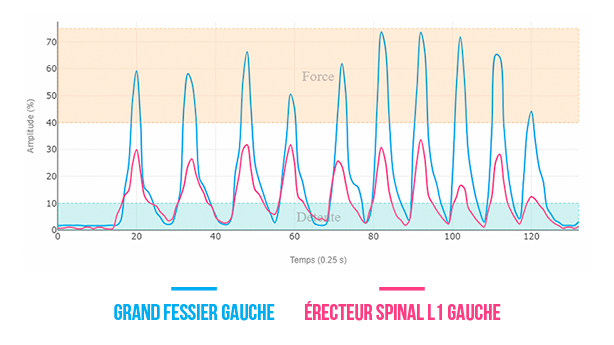 grand fessier