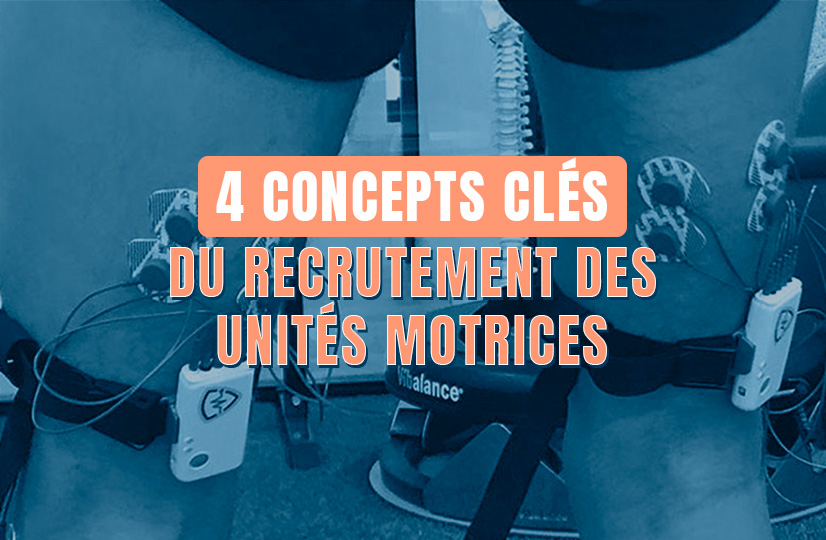 du recrutement des unités motrices