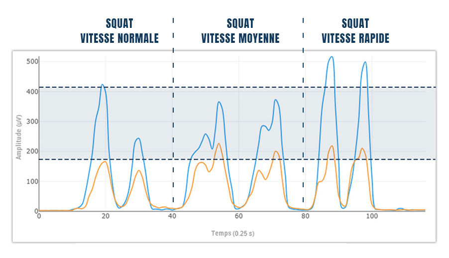 l'activité musculaire