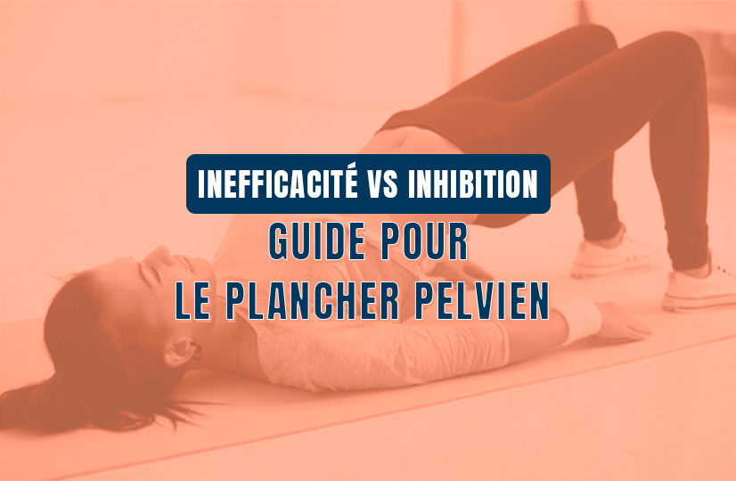 Guide pour le plancher pelvien