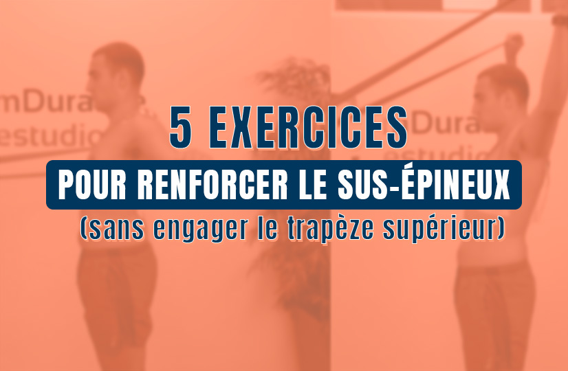 renforcer le supra-épineux