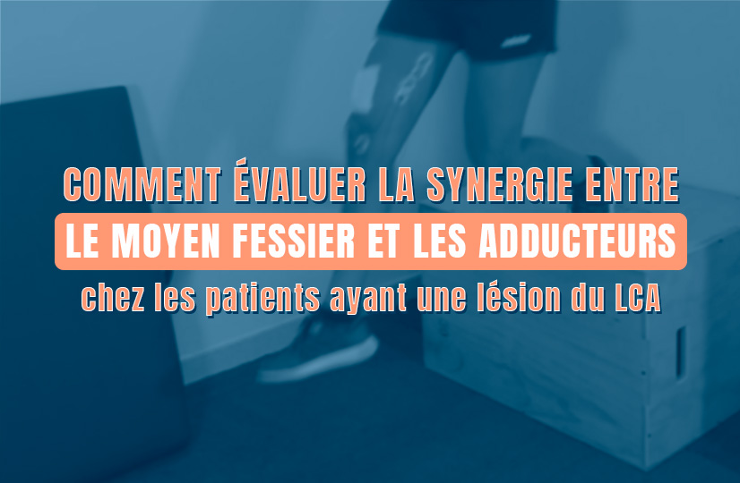 synergie moyen fessier et les adducteurs LCA