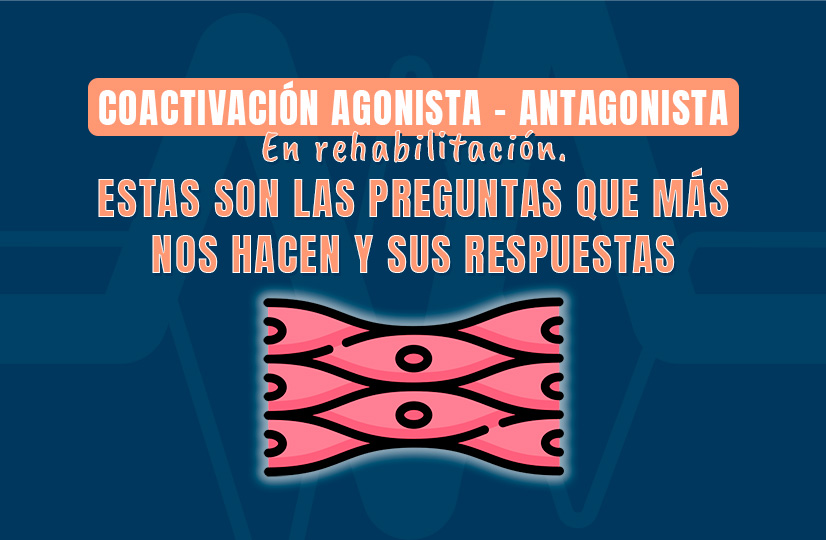 Coactivación agonista - antagonista en rehabilitación.