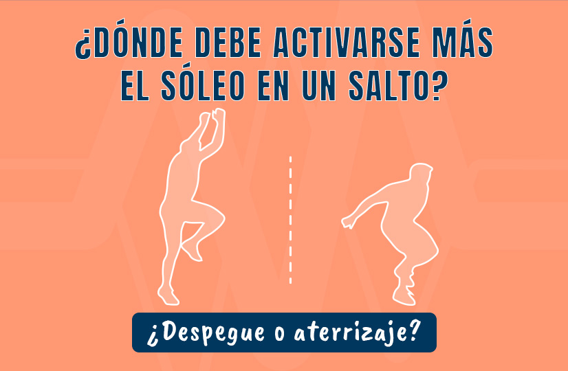 activación del sóleo