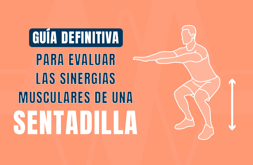 sinergias musculares en sentadilla