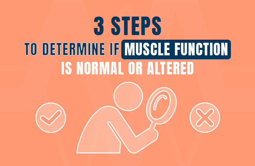 3 Steps to Determine If Muscle Function Is Normal or Altered