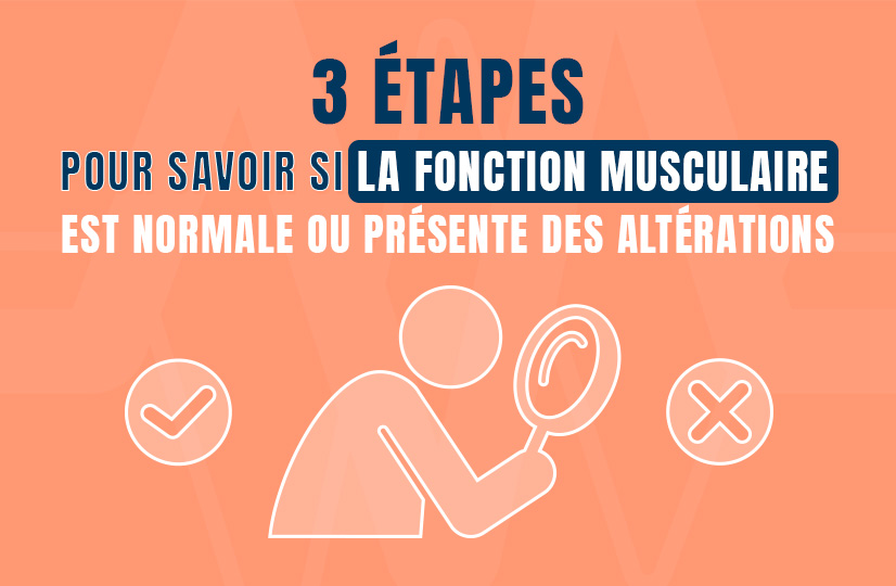 3 étapes pour savoir si la fonction musculaire est normale ou présente des altérations