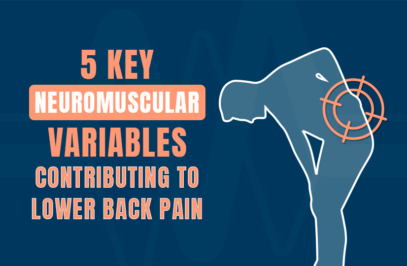 5 Key Neuromuscular Variables Contributing to Your Patient's Lower Back Pain