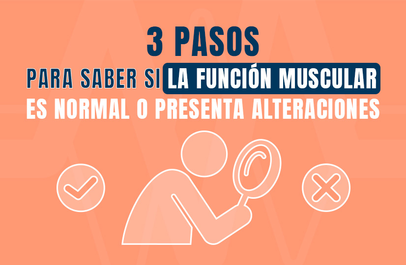 3 pasos para saber si la función muscular es normal o presenta alteraciones