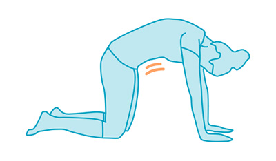 transverse de l’abdomen