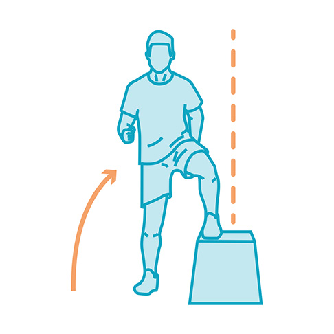 gluteus maximus hypertrophy