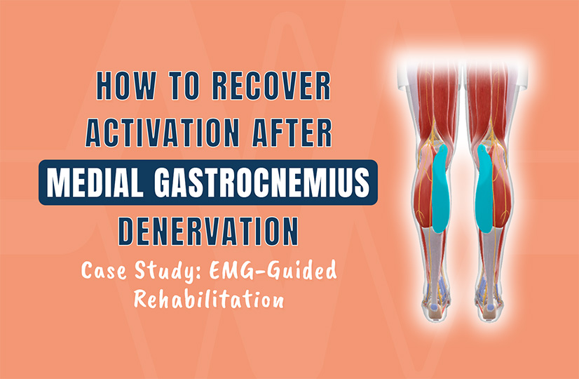 How to Recover Activation After Medial Gastrocnemius Denervation