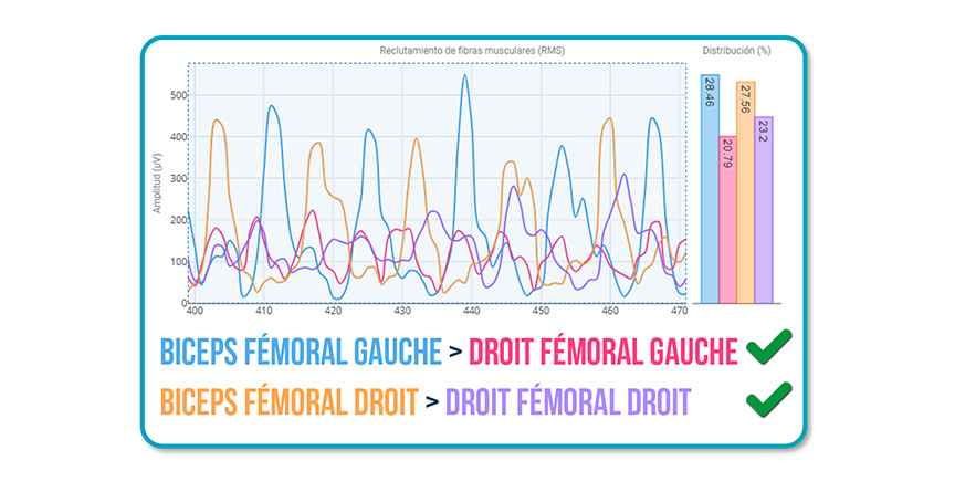 schéma d’activation lors de la marche
