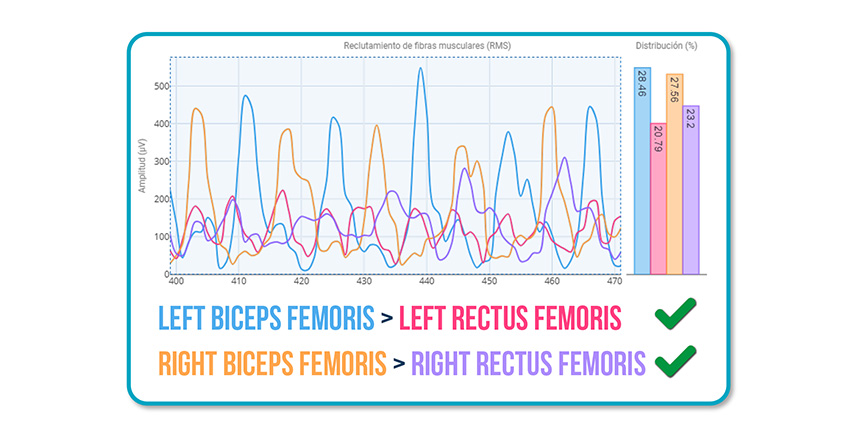 Muscle Activation Patterns During Walking