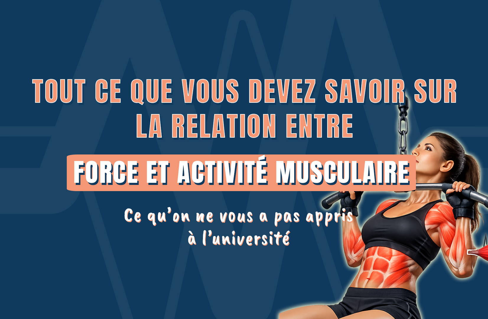 Tout ce que vous devez savoir sur la relation entre force et activité musculaire