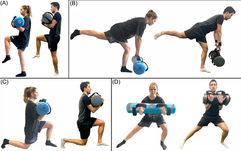 activer le moyen fessier