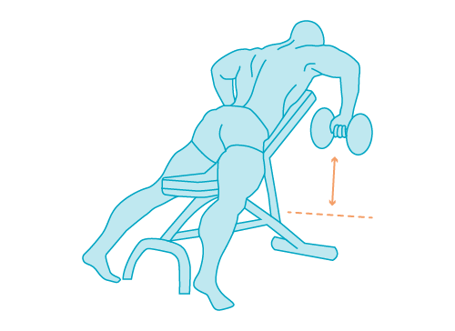 l’hypertrophie du deltoïde postérieur