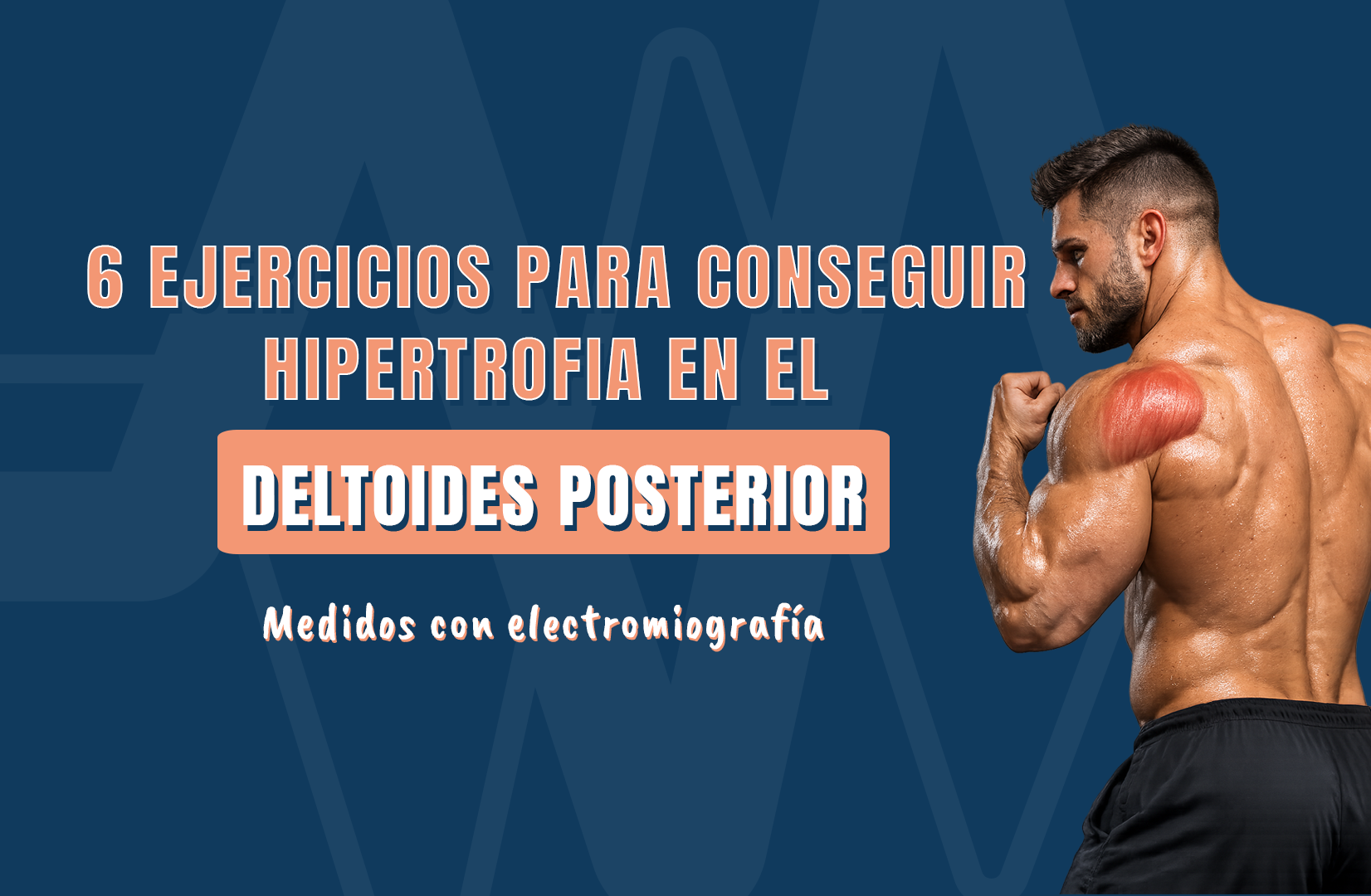 6 ejercicios para conseguir hipertrofia en el deltoides posterior